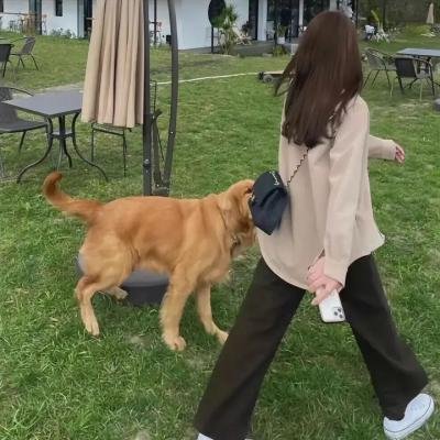 渚北谜案
